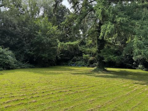 Objekt: 72910 - Bild