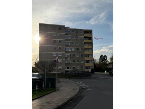 Objekt: 73023 - Bild