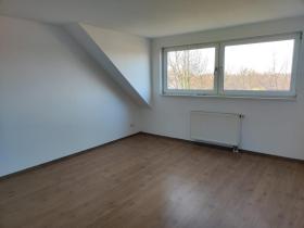Bild...