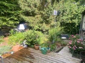 Bild...