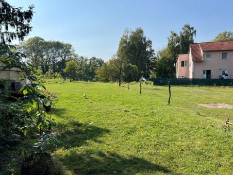 Objekt: 72512 - Bild