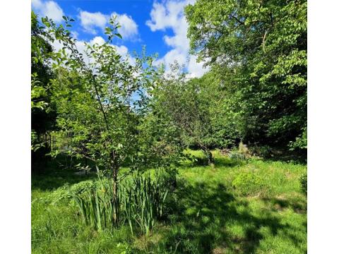 Objekt: 72935 - Bild