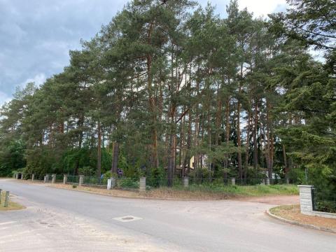 Objekt: 73319 - Bild