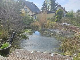 Bild...
