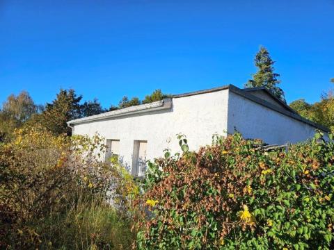 Objekt: 72809 - Bild