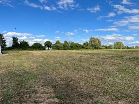 Objekt: 73027 - Bild