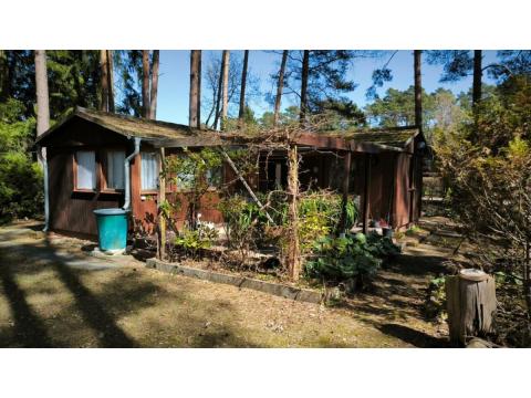 Objekt: 73108 - Bild